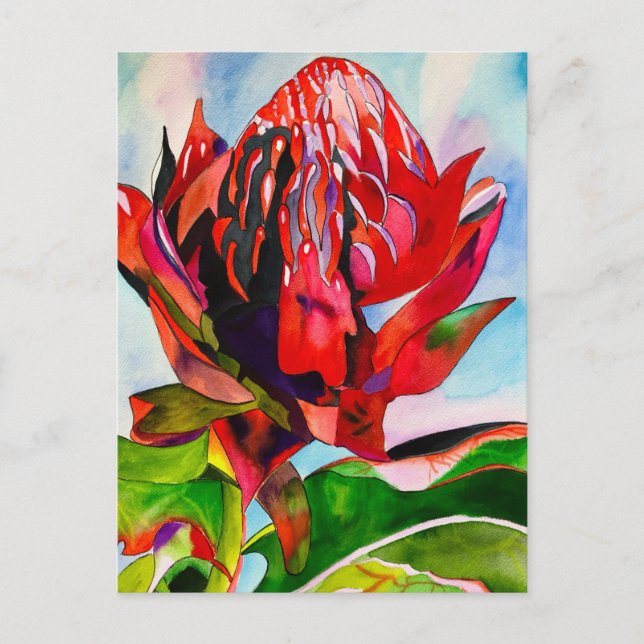 Waratah Australian, ursprungsblommans vattenfärg Vykort (Framsida)