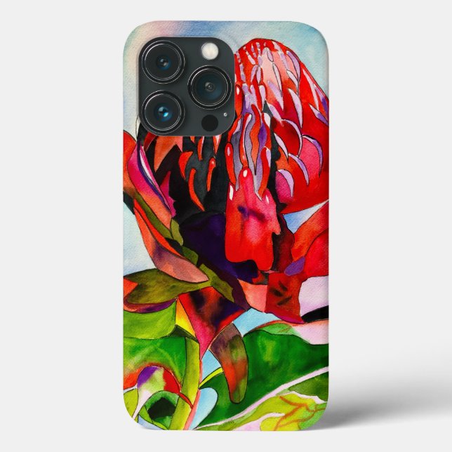 Waratah australisk inhemsk blomster vattenfärg (Baksida)