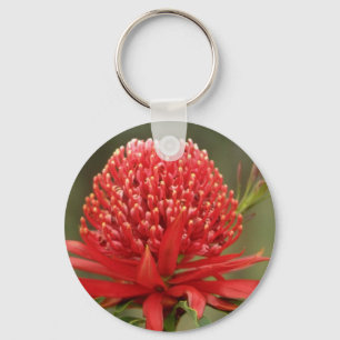Waratah i blom, Australien blommor Nyckelring