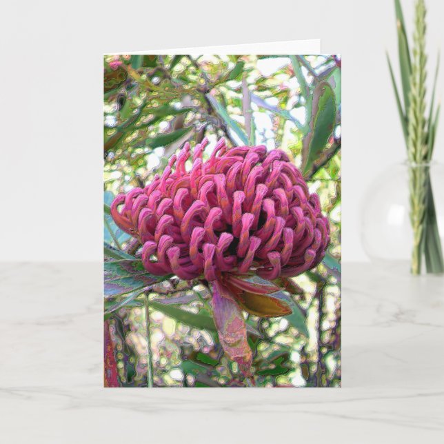 waratah kort (Framsida)