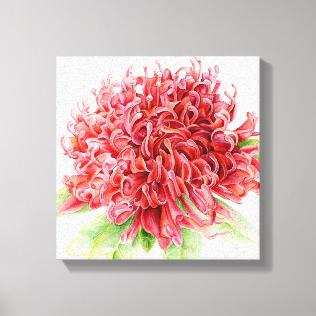 Waratah röd blomma botanica konst canvastryck (Framsida)