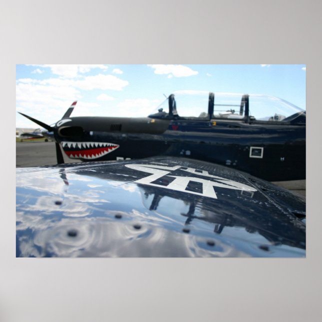 Warbird Poster (Framsidan)