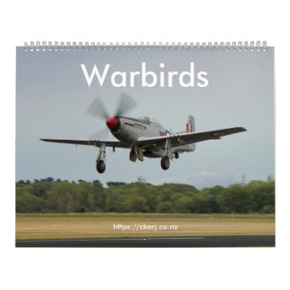Warbird - ZK-ARJ (stor, tvåsidig månad) Kalender