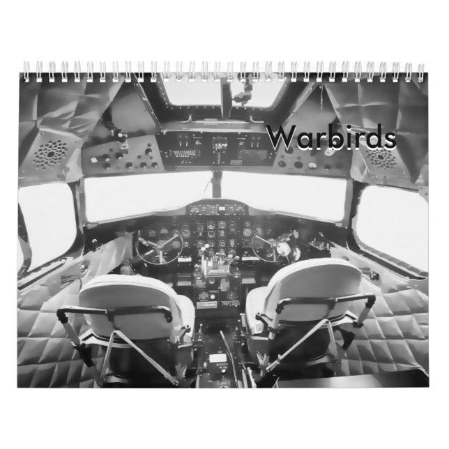 Warbirds - flygplan från världskrig II Kalender (Omslag)