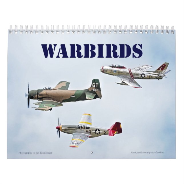 Warbirds väggkalender kalender (Omslag)