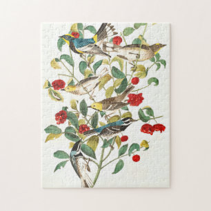 Warbler av John James Audubon Pussel