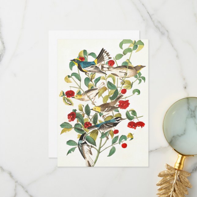 Warbler av John James Audubon Tack Kort (Fram/Back In Situ)
