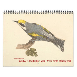 Warbler Collection #1-litografier från fåglar i NY Kalender