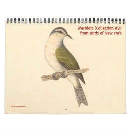 Warbler Collection #2 Lithografer från fåglar i NY Kalender