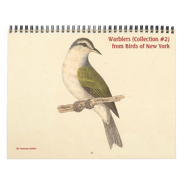 Warbler Collection #2 Lithografer från fåglar i NY Kalender (Omslag)
