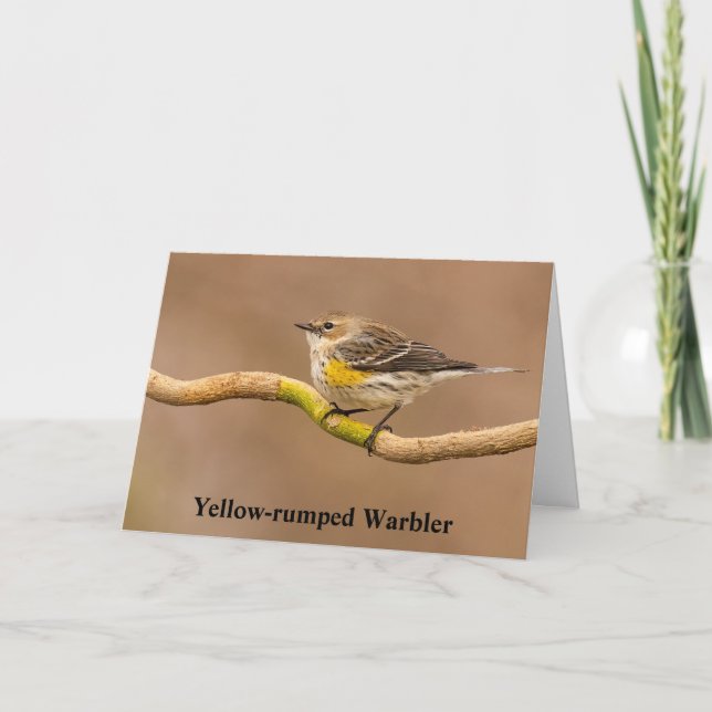 Warbler för gult-rumpad tack kort (Framsida)