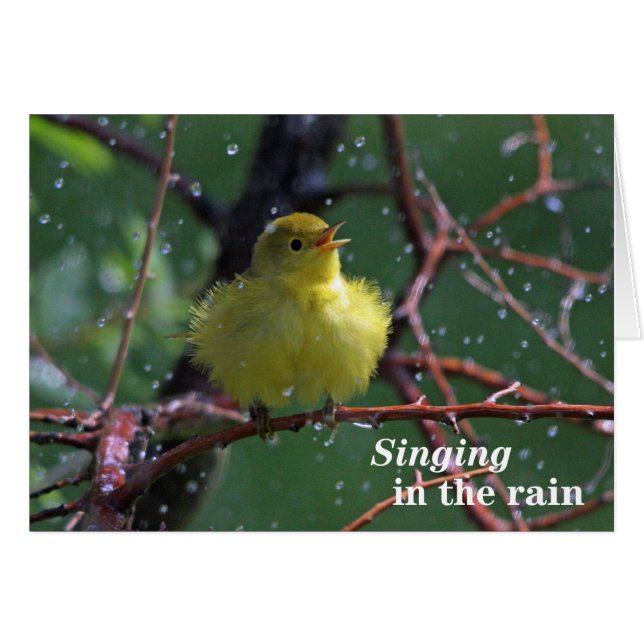 Warbler Hälsningskort (Framsidan Horizontal)