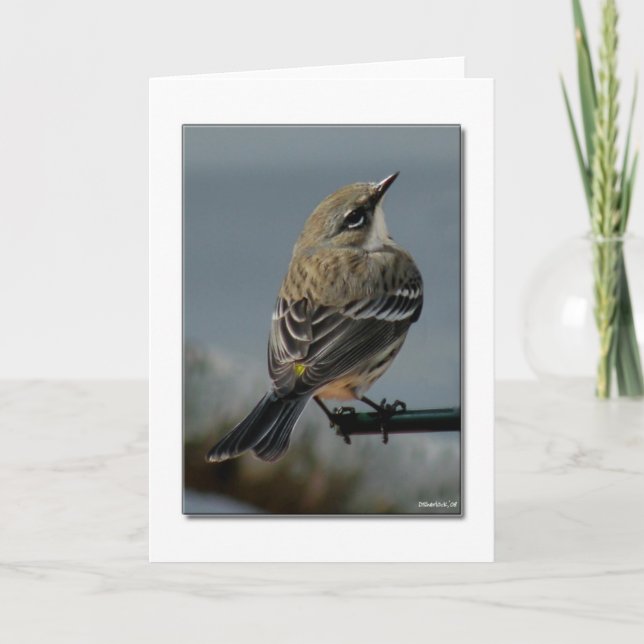 Warbler Note Card Kort (Framsida)