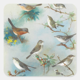 Warbler och Wrens Fyrkantigt Klistermärke