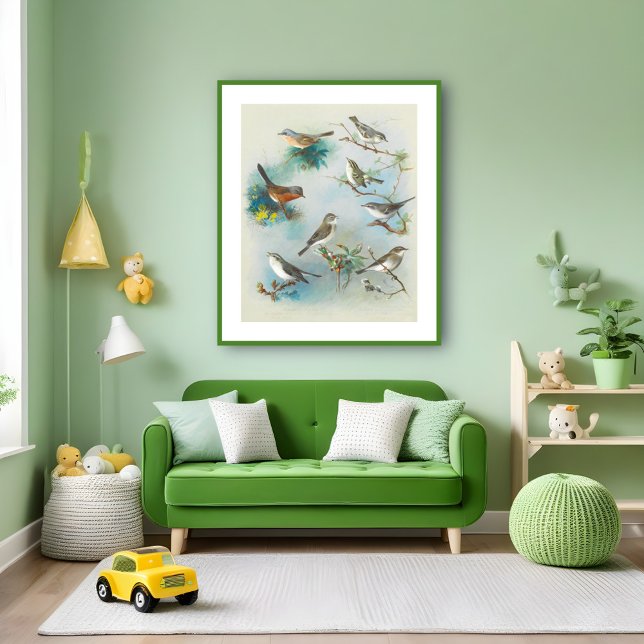 Warbler och Wrens Poster (Skapare uppladdad)