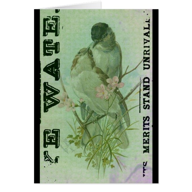 Warbler Vintage Hälsningskort (Framsidan)