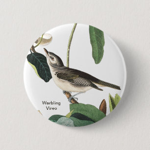 Warbling Vireo John James Audubon Fågelskådare Bir Knapp