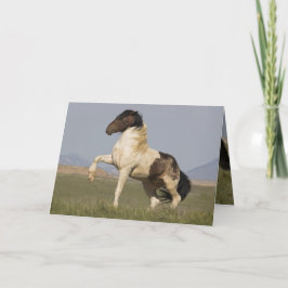 Warbonnet's Challenge Vild Horse Greeting Card Kort