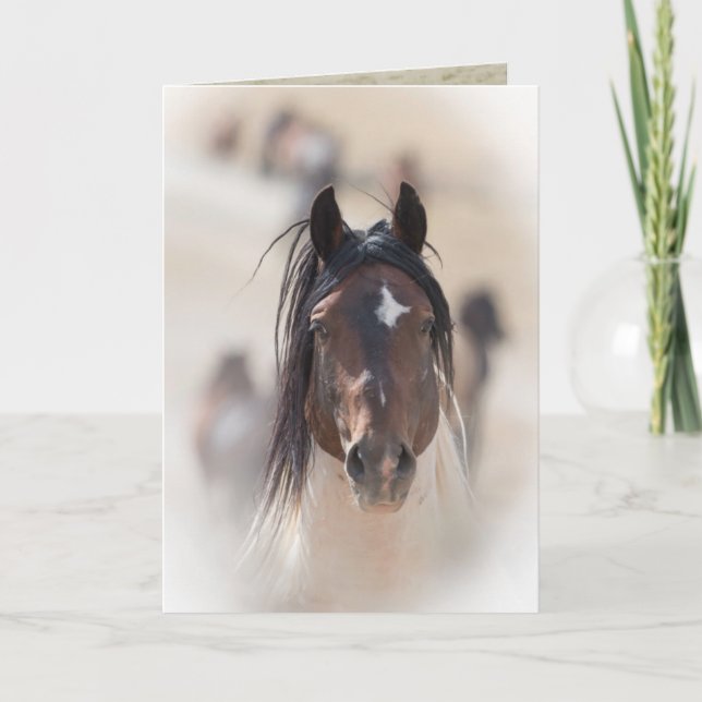 Warbonnets Pride Vild Horse Greeting Card Kort (Framsida)