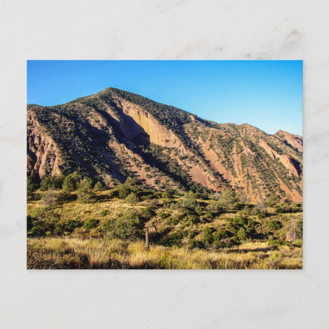 Ward Mountain, Big Bend nationalpark, Texas Vykort (Framsida)