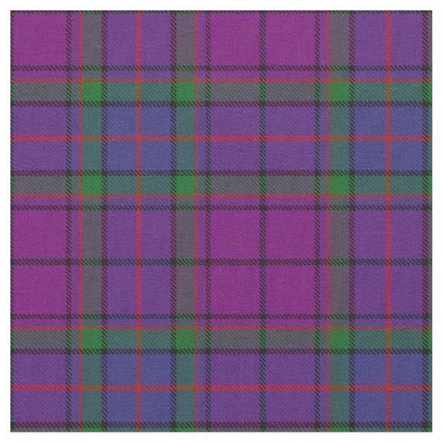Wardlaw Family Tartan Tyg (Närbild)