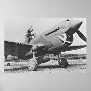 Warhawk P40 1943 Poster