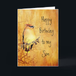 Warm Copper Cedar Waxwing Bird Son Birthday Kort<br><div class="desc">Varm koppar Cedar Waxwing Bird l Birthday för din son</div>