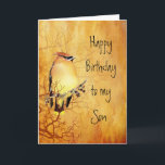 Warm Copper Cedar Waxwing Bird Son Birthday Kort<br><div class="desc">Varm koppar Cedar Waxwing Bird l Birthday för din son</div>