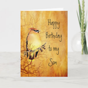 Warm Copper Cedar Waxwing Bird Son Birthday Kort
