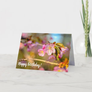 Warm Färg Sakurablommor i Hanamisäsongen Kort