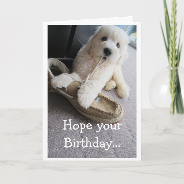 Warm Fuzzy Birthday, Cute Goldendoodle valp Humor Kort (Framsida)