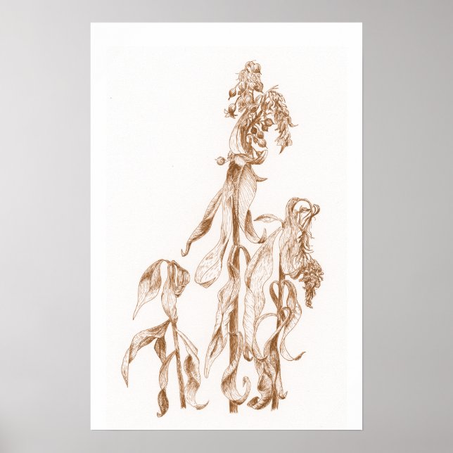 Warm Seasonal Botanical Ink Art Elegant Wall  Poster (Framsidan)