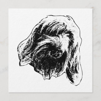 Warm Spinone Gathering Inbjudningar