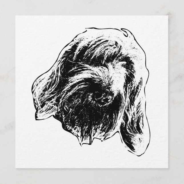 Warm Spinone Gathering Inbjudningar (Framsida)