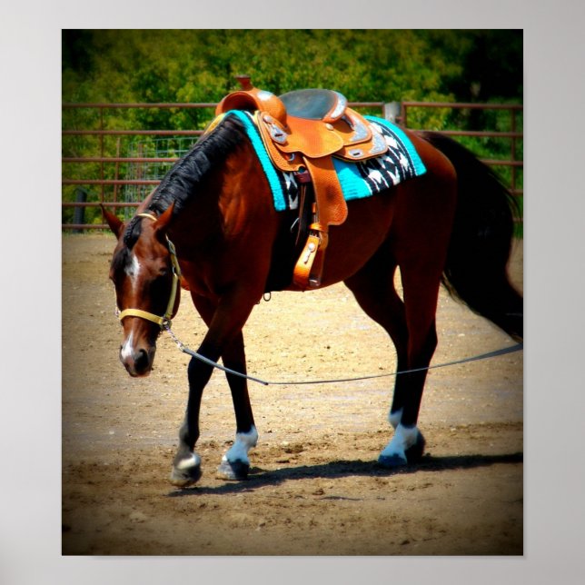 Warm-up-fönster för Lunge Line Horse Show Poster (Framsidan)