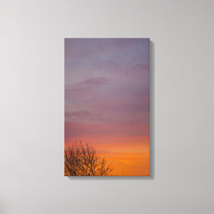 Warm Winter Sunrise, Ohio Canvastryck
