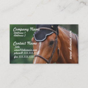 Warmblood hästvisitkort visitkort