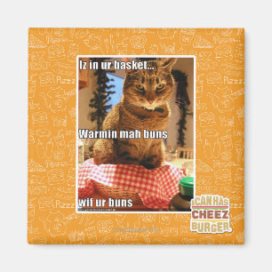 Warmin mah bullar magnet