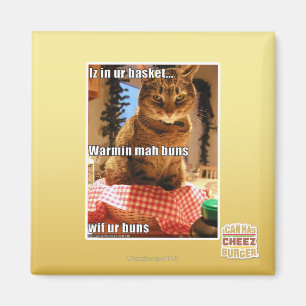 Warmin mah bullar magnet
