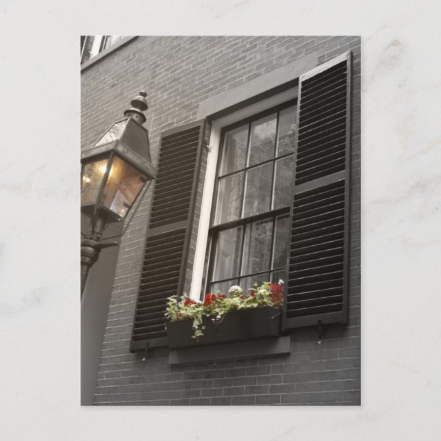 Warmth Vykort (Framsida)