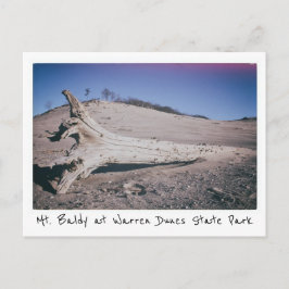 Warren Dunes State Park Mt. Baldy Michigan Vykort