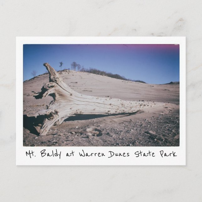 Warren Dunes State Park Mt. Baldy Michigan Vykort (Framsida)
