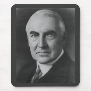 Warren G. Harding 29:e presidenten Musmatta