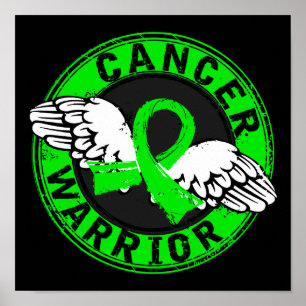 Warrior 14C non-Hodgkins lymphoma Poster