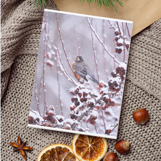 Warrior American Robin In Winter Vykort (Skapare uppladdad)