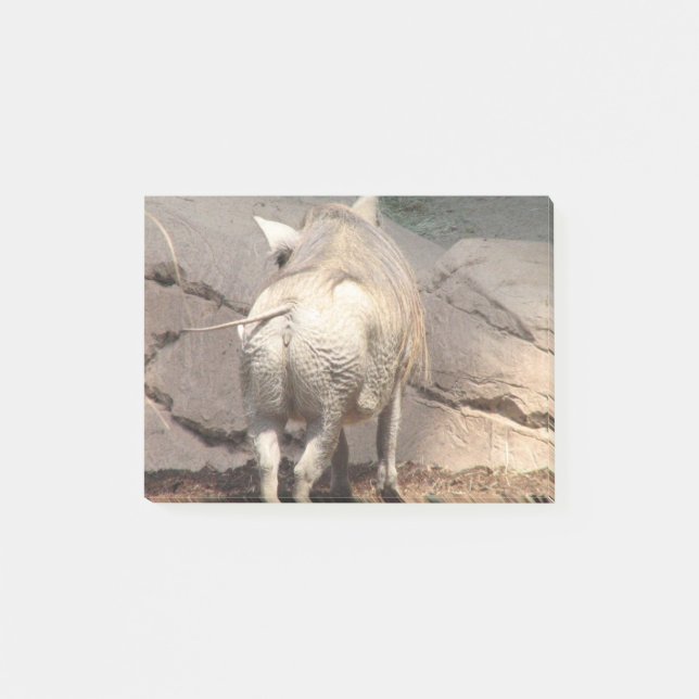 Warthog bakom post-it block (Framsida)