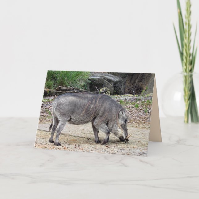 Warthog Greeting Card Kort (Framsida)