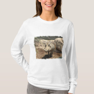 Warthog Hoody Tee Shirt