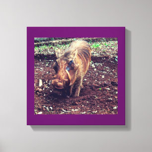 Warthog i Kenya Canvastryck
