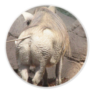 Warthog Knopp